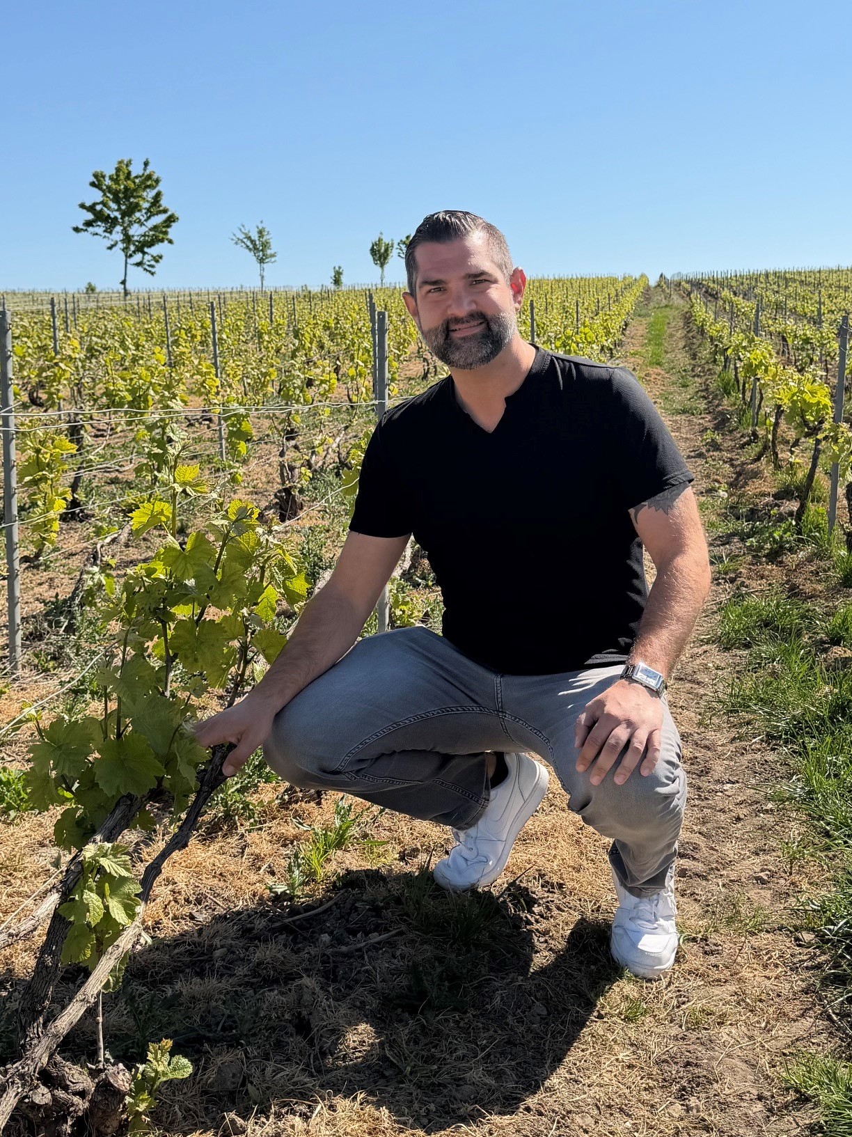 Brandon Martini - Owner of Solera